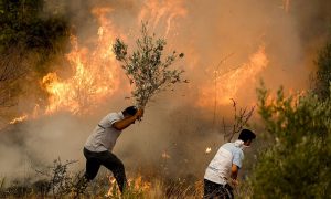 رجلان بالقرب من أحد حرائق الغابات التركية_ 31 من تموز (ntv)