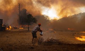 رجل تركي يشارك بإخماد الحرائق في إحدى الولايات التركية باستخدام الدلو_ 2021 (AFP)