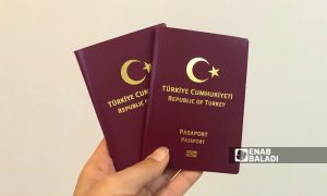 جواز سفر تركي (عنب بلدي/زينب مصري)
