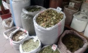 أنواع من الأعشاب في أحد محلات أسواق حلب (الجماهير)
