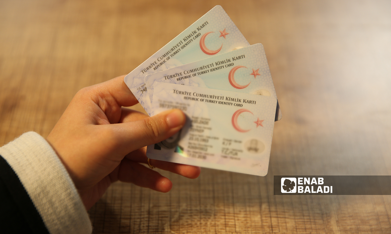 بطاقات شخصية تركية (عنب بلدي/يوسف حمص)