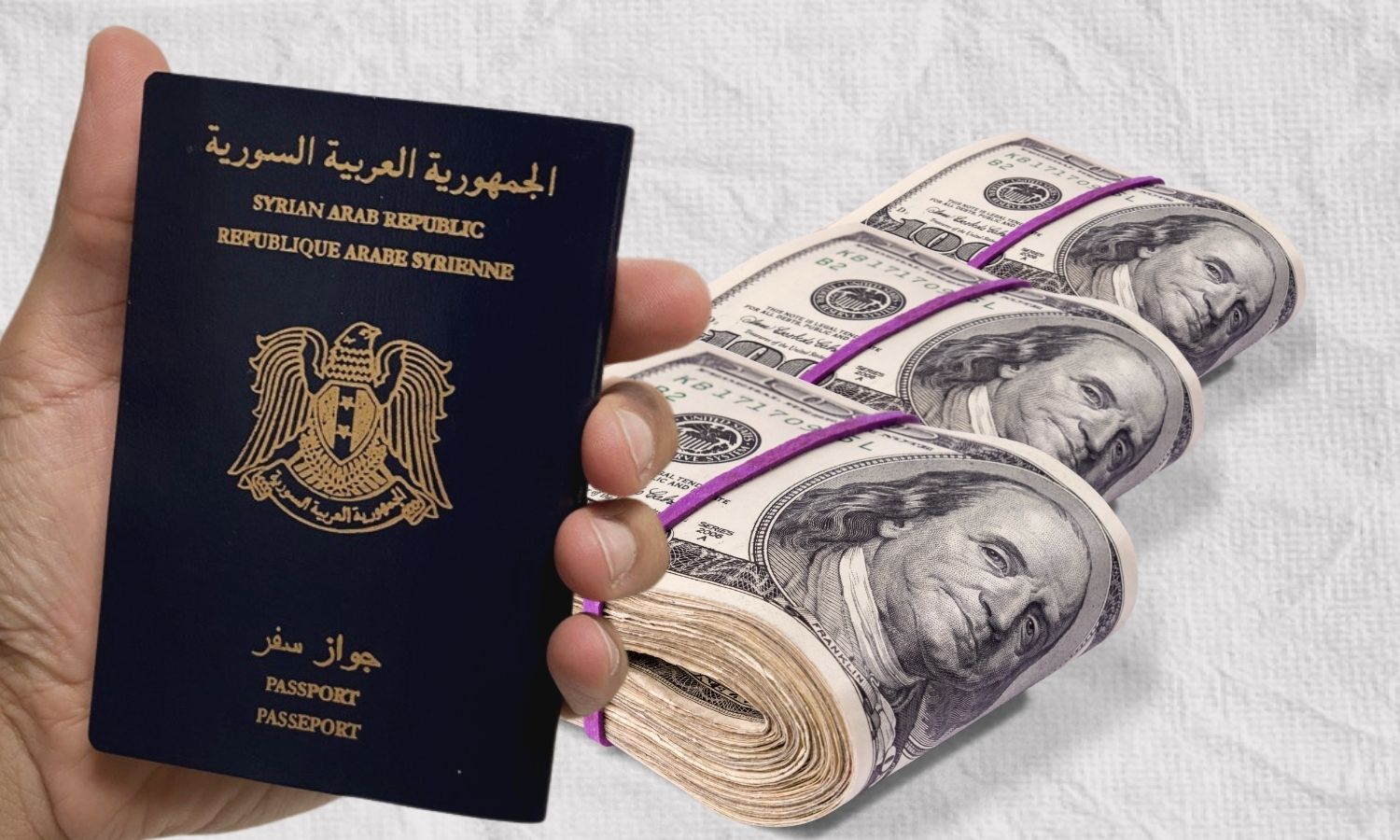 جواز سفر سوري (عنب بلدي)