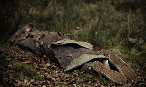 جثة شاب في الغابة (Jan H Andersen /shutterstock)