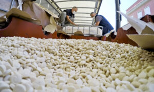 صادر ضباط إنفاذ القانون الإيطاليون 14 طنًا من الكبتاغون، أي حوالي 84 مليون حبة، في ميناء ساليرنو 2020 (EPA)