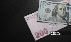 عملتان ورقيتان من فئتي 200 ليرة تركية و100 دولار أمريكي (عنب بلدي/زينب مصري)