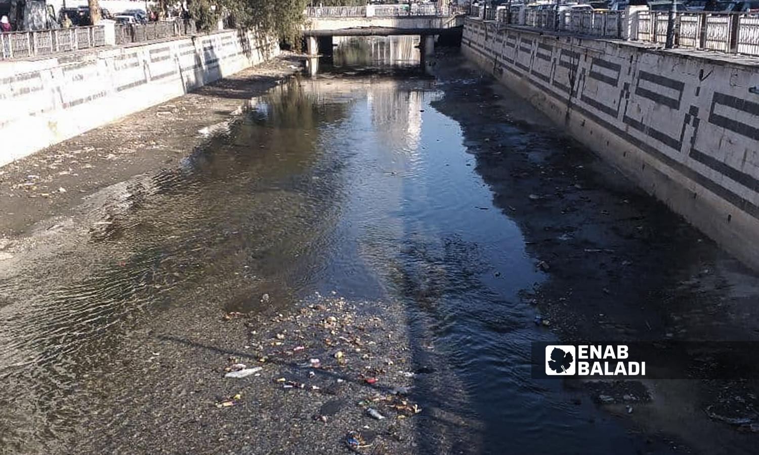 مجرى نهر بردى وسط مدينة دمشق - 28 كانون الثاني 2022 ( حسان حسان / عنب بلدي )
