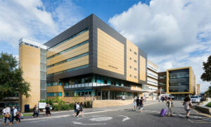 surrey university