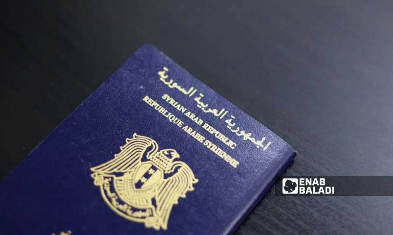 جواز سفر سوري (عنب بلدي/زينب مصري)