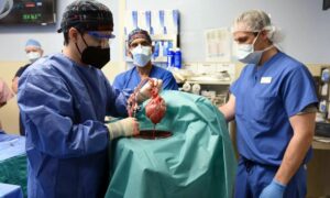  عملية زراعة قلب خنزير معدل وراثيًا في المركز الطبي بجامعة 