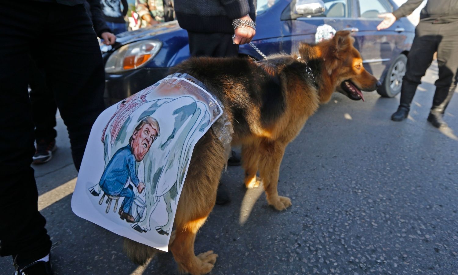 صورة كاريكاتورية للرئيس الأمريكي السابق دونالد ترامب على ظهر كلب خلال تجمع في ساحة الأمويين بدمشق - 14 نيسان 2018 (AFP)
