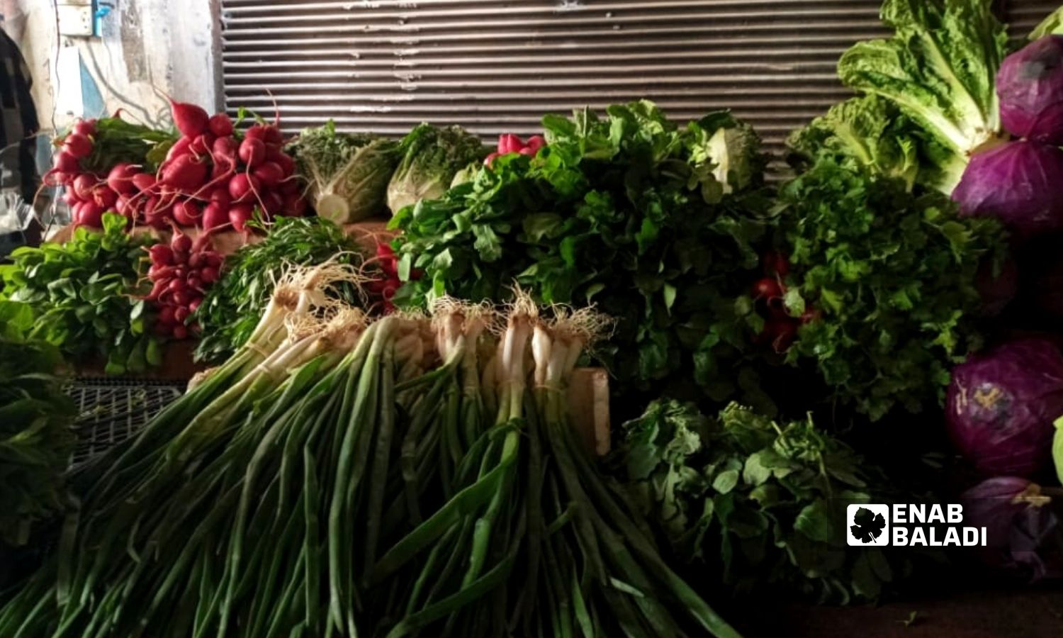 خضروات في سوق "أوغاريت" بين حيي العوينة وصليبة في مدينة اللاذقية - 2 من نيسان 2022 (عنب بلدي)