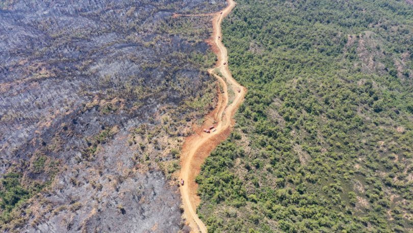 غابات مرمريس في ولاية موغلا المتضررة من الحرائق- 25 حزيران 2022 (وكالة الأنباء التركية الأناضول)
