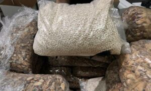 كيس من أقراص الحبوب المخدرة المضبوطة في ميناء جدة الإسلامي_ 29 من حزيران 2022 (واس)
