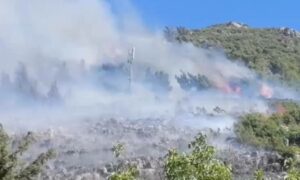 موقع لحريق في غابات أبو قبيس_ 10 من حزيران 2022 (الهيئة العامة للإذاعة والتلفزيون/ فيديو)