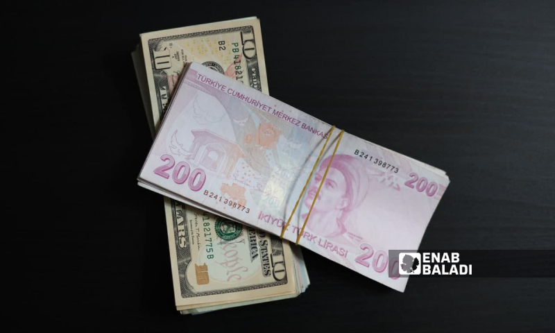 عملات ورقية من فئتي 200 ليرة تركية وعشرة دولارات أمريكية (عنب بلدي/زينب مصري)