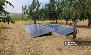 لوائح طاقة شمسية في بلدة دركوش بريف إدلب الغربي شمالي سوريا- 15 من حزيران 2022 (عنب بلدي)
