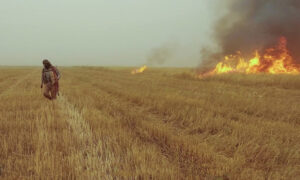 مقاتل من تنظيم الدولة يحرق أراضي زراعية في العراق- 31 أيار 2022 (معرف التنظيم على تيلجرام)