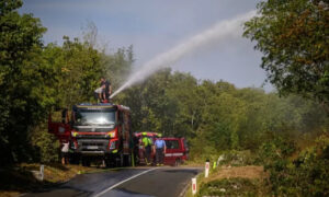 عمال الإطفاء بحاولون إخماد حريق في أحد غابات سلوفينيا (Getty Image)