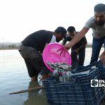 مزرعة لتربية الأسماك في منطقة عفرين بريف حلب الشمالي - 11 أيلول 2022 (عنب بلدي / أمير خربطلي)