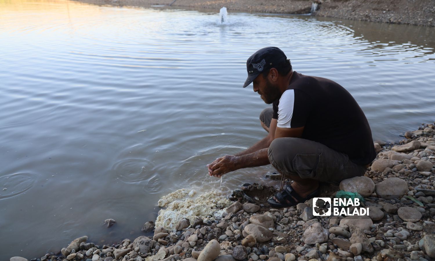 شاب يضع الطعام للأسماك في مزرعة بمنطقة عفرين بريف حلب الشمالي - 11 أيلول 2022 (عنب بلدي / أمير خربطلي)