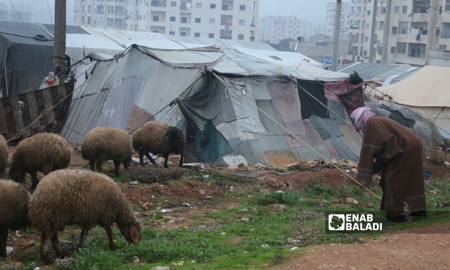مخيم عشوائي في حي السكن الشبابي بمدينة إدلب شمالي غربي سوريا في كانون الأول 2022 (عنب بلدي/ أنس الخولي)