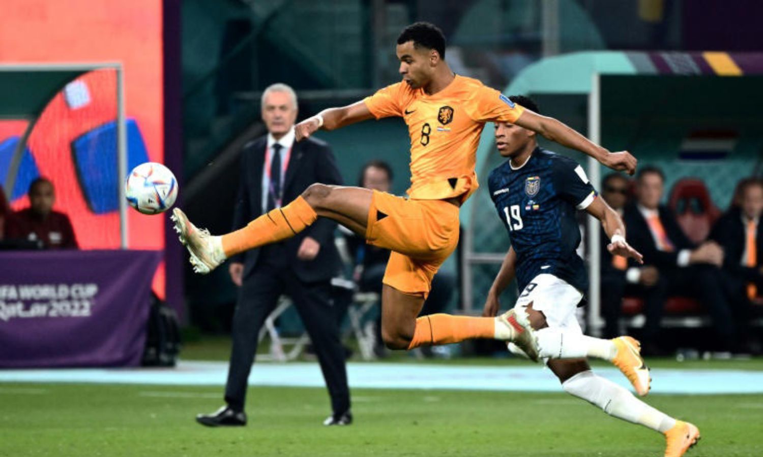 الهولندي كودي جاكبو خلال مباراة أمام منتخب الإكوادور خلال كأس العالم في قطر- 25 من كانون الأول 2022 (MSN)