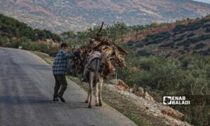 مرتفعات عفرين بريف حلب - 23 تشرين الثاني 2022 (أمير خربوطلي - عنب بلدي)