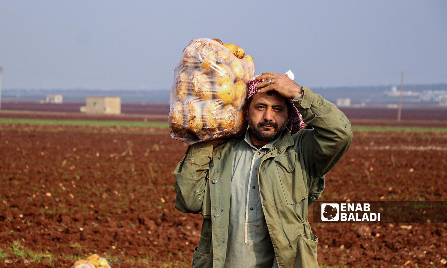 عامل يحمل كيس بطاطا في بلدة زردنا بريف ادلب - 26 من كانون الأول 2022 (عنب بلدي/ إياد عبد الجواد)