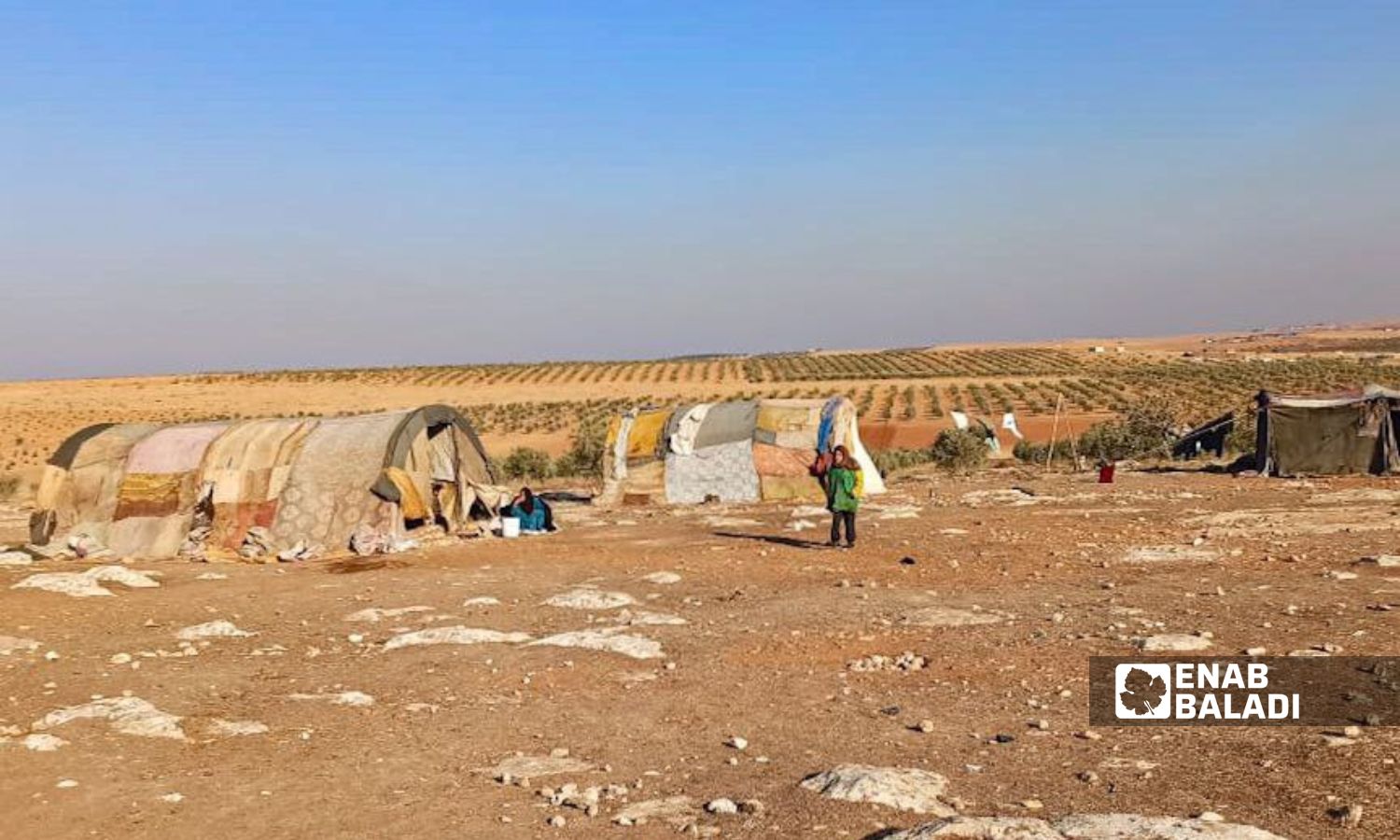 مخيم "الحموية" بريف حلب الشرقي- 7 من كانون الأول 2022 (عنب بلدي)