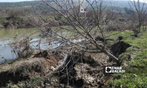تشقق وانزياح في الأراضي الزراعية باتجاه نهر العاصي في  دركوش بريف إدلب الغربي بفعل الزلزال الذي ضرب المنطقة- 17 شباط 2023 (عنب بلدي- محمد نعسان دبل)