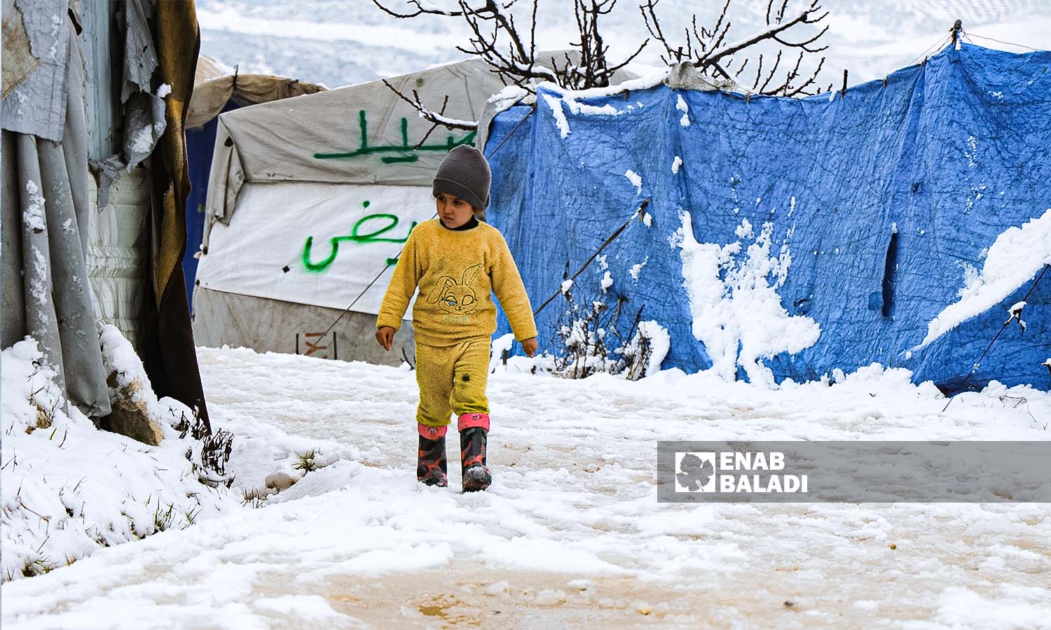 طفل يسير على الثلج في مخيم الزوف بجسر الشغور - 5شباط 2023 (عنب بلدي/محمد نعسان دبل)