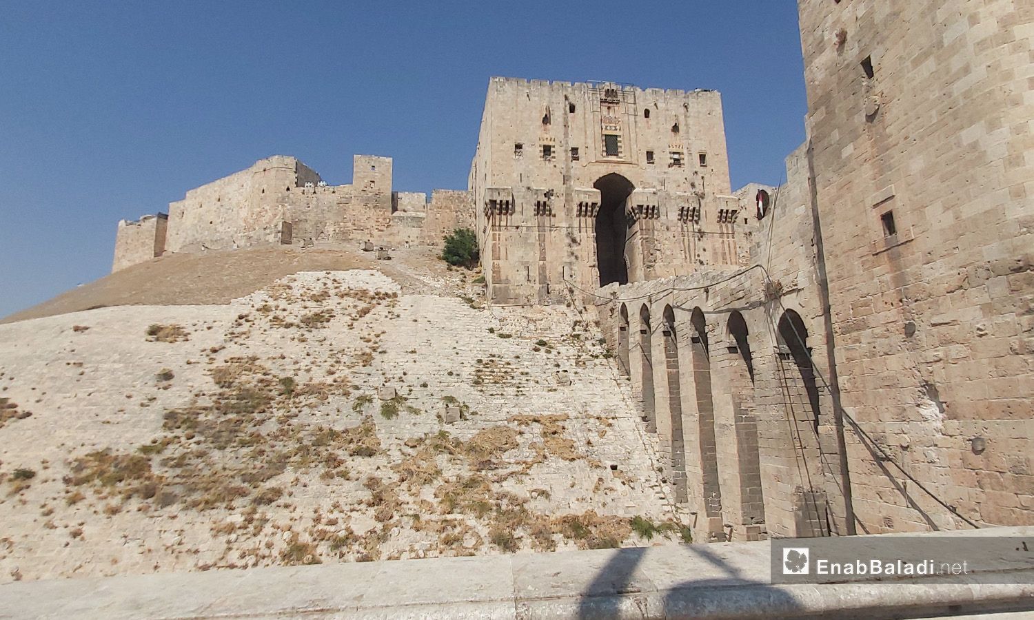 قلعة حلب- 28 من آب 2020 (عنب بلدي)