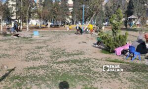 عائلات في مدينة القامشلي تتنزه في الحديقة العامة- 6 آذار 2023 (عنب بلدي / مجد السالم)
