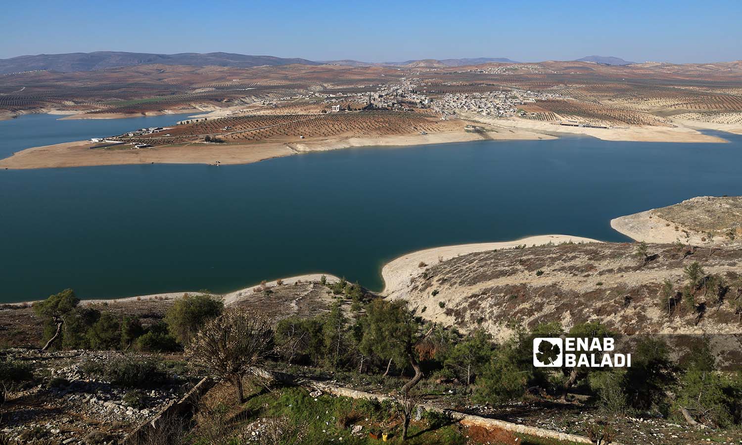 بحيرة ميدانكي أحد المواقع المتضررة جراء قطع الأشجار الجائر في عفرين شمالي سوريا - 15 من كانون الثاني 2023 (عنب بلدي/ أمير خربطلي)