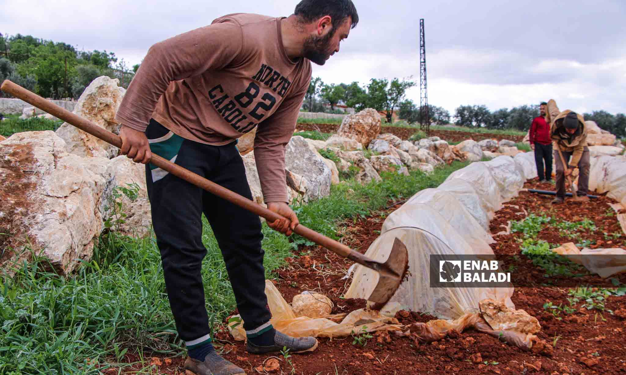 مزارعون يصلحون الأنفاق الزراعية البلاستيكية التي تضررت بسبب الرياح في قرية مورين بريف إدلب - 30 من آذار 2023 (إياد عبد الجواد/عنب بلدي)