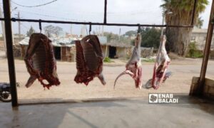 ذبائخ لحم الخاروف في ريف درعا الغربي -  28كانون الثاني 2023 (عنب بلدي  حليم محمد)