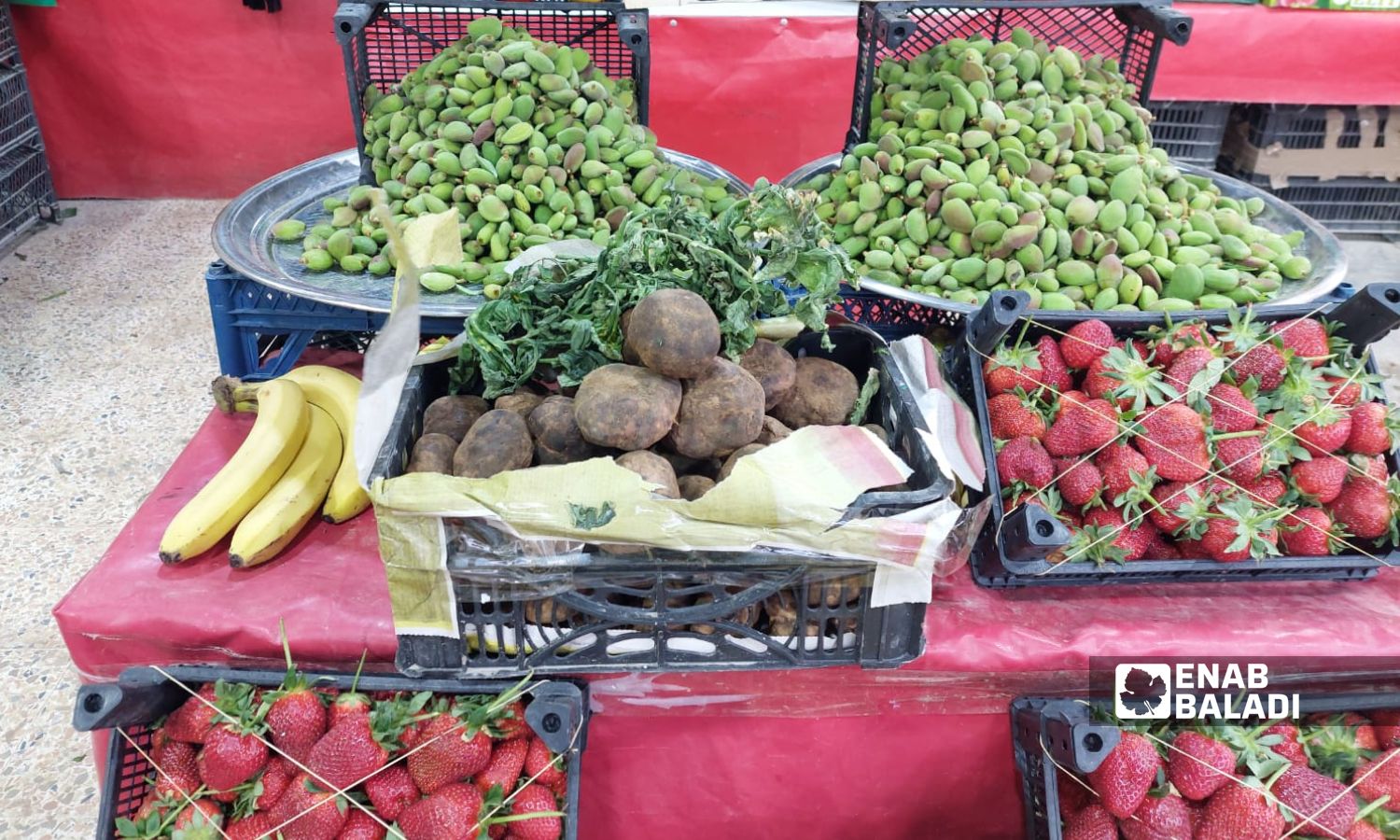 فطر الكمأة في أحد محال بيع الخضروات في مدينة اعزاز بريف حلب الشمالي- 30 من آذار 2023 (عنب بلدي/ ديان جنباز)