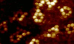 صورة أشعة سينية فائقة لتجمعات جزيئية من عدة ذرات روبيديوم وذرة حديد واحدة- 2023 (Nature).

