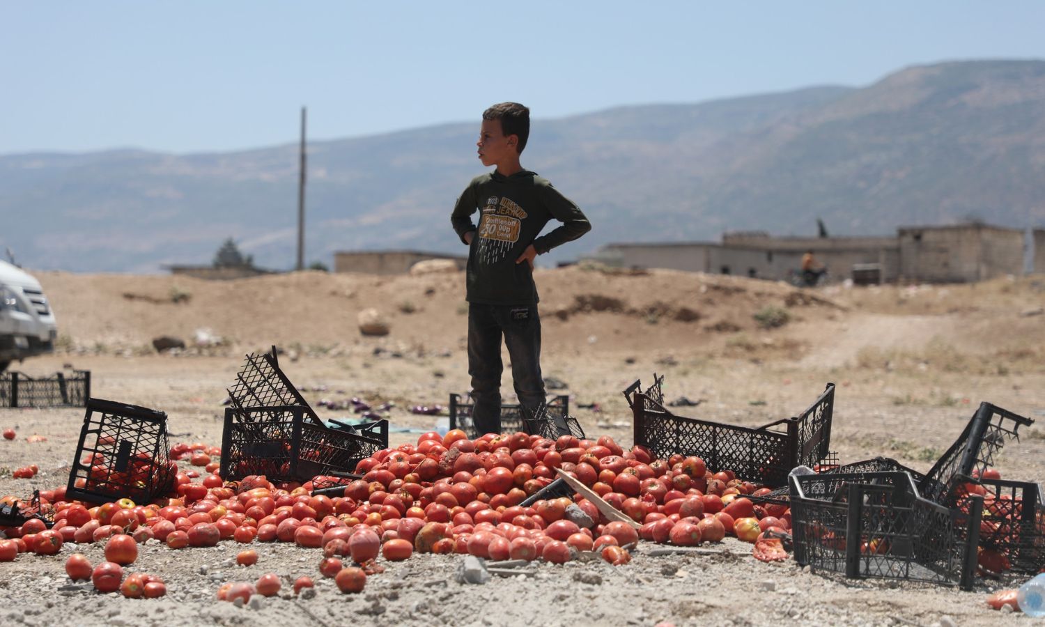 طفل سوري يقف أمام أكوام من الطماطم التي أتلفها القصف الروسي على سوق للخضروات في جسر الشغور شمال غرب سوريا- 25 من حزيران 2023 (الدفاع المدني السوري)