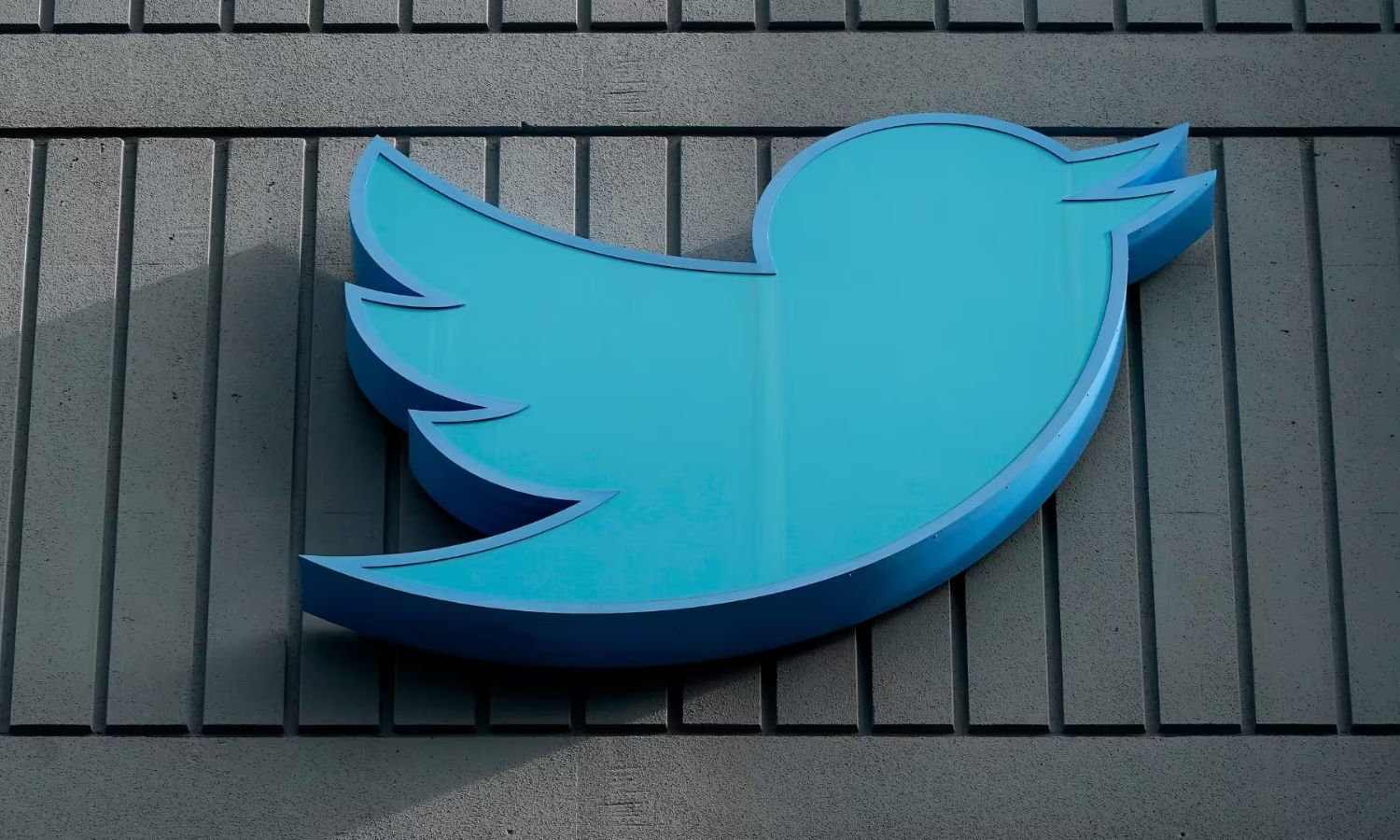 "تويتر" يسير بعكس الحريات بسبب تحركات إيلون ماسك 2022 (CBS)