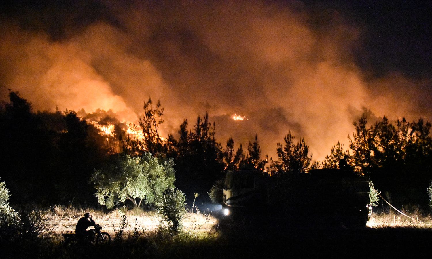 الحرائق متواصلة في غابات وأحراج اللاذقية منذ الثلاثاء- 26 من تموز 2023 (محافظة اللاذقية/ فيس بوك)