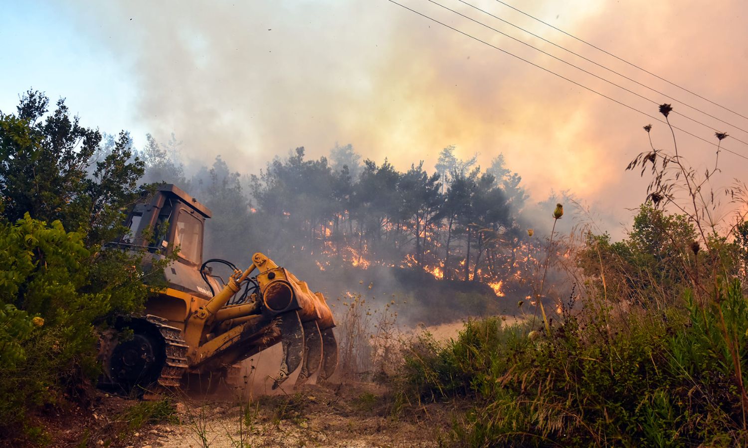 الحرائق متواصلة في غابات اللاذقية- 25 من تموز 2023 (محافظة اللاذقية/ فيس بوك)