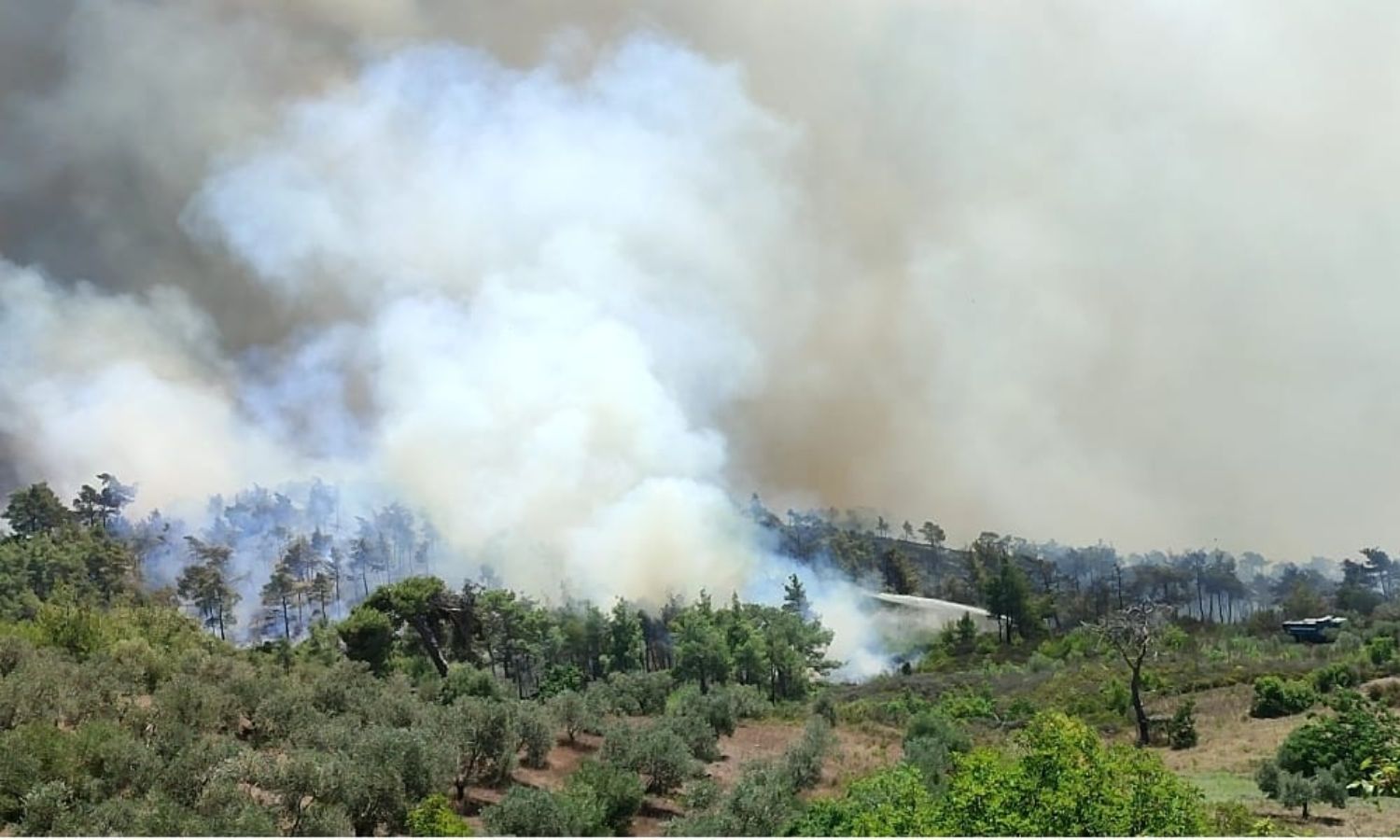 الحرائق مستمرة في غابات وأحراج اللاذقية- 26 من تموز 2023 (محافظة اللاذقية/ فيس بوك)