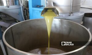 يتراوح سعر صفيحة زيت الزيتون في إدلب بين 70 و90 دولارًا أمريكيًا- 2 من تشرين الثاني 2023 (عنب بلدي/ إياد عبد الجواد)