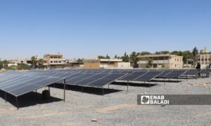 ألواح طاقة شمسية في رأس العين شمال غربي الحسكة- 2 من آب 2023 (عنب بلدي/ حسين شعبو)