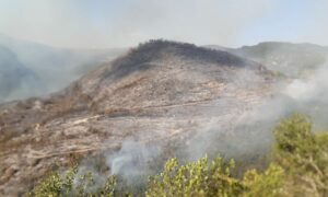 دخان يتصاعد جراء الحرائق في غابات طرطوس- 29 من أيلول 2023 (محافظة طرطوس/ فيس بوك)