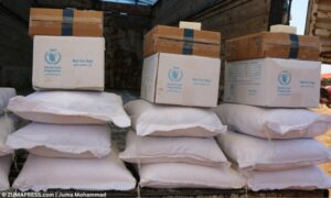 وصول المساعدات الأممية لشمال غرب سوريا - 13 أيلول 2023 (زوما بريس)