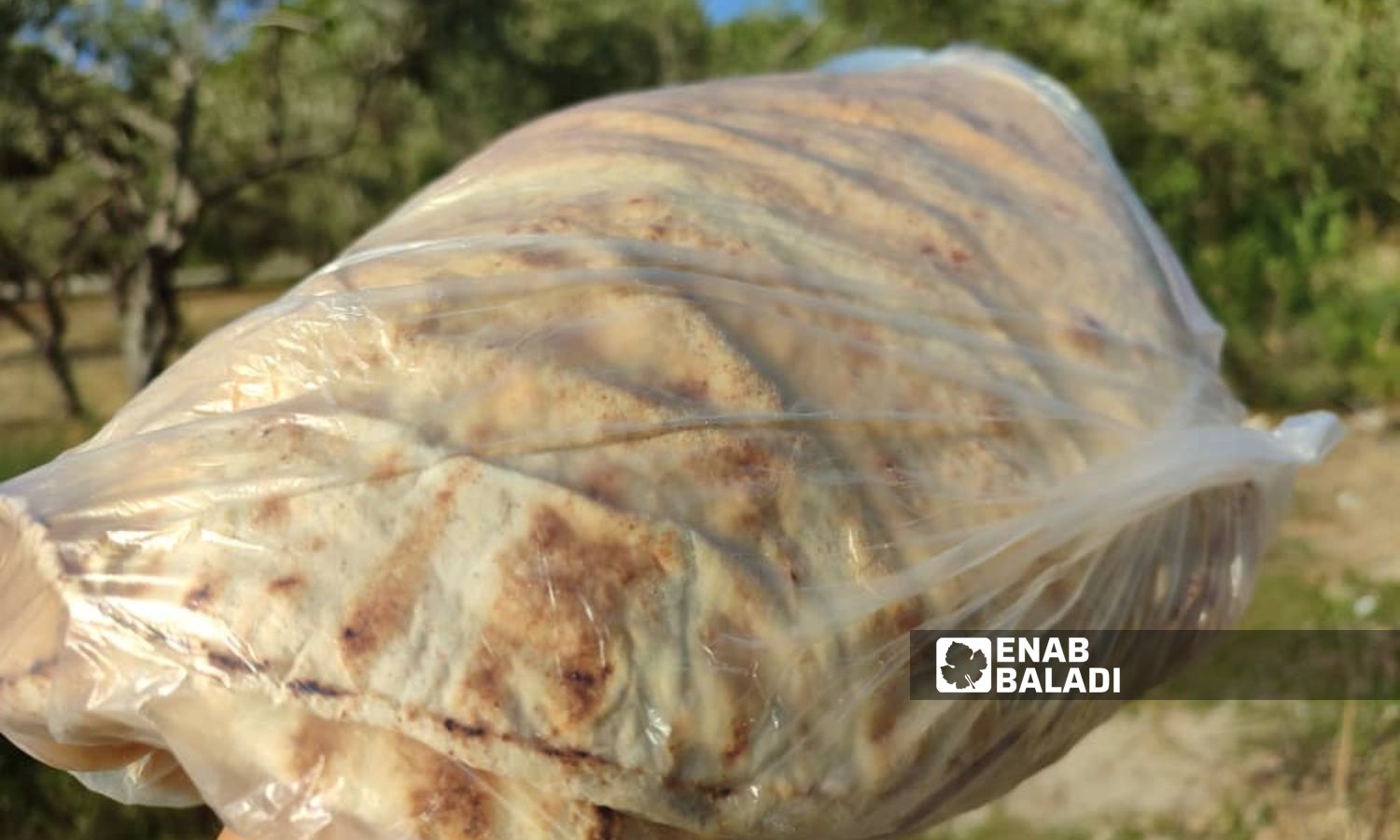 يبلغ سعر ربطة الخبز "الحر" في سوريا 1300 ليرة- 19 من أيلول 2023 (عنب بلدي/ ليندا علي)