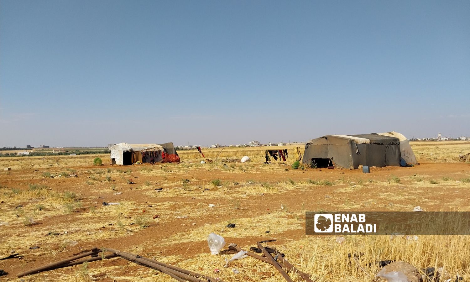 عائلات من شمال شرقي سوريا تعمل في مزارع درعا جنوبي سوريا- أيلول 2023 (عنب بلدي- سارة الأحمد)