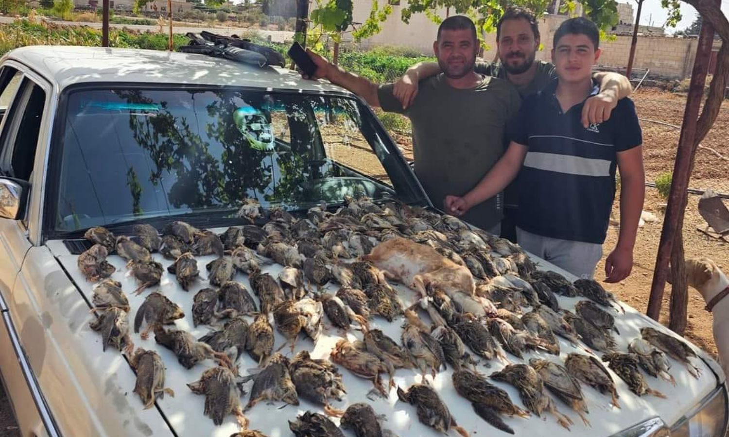 صيادون يستعرضون طيورًا صادوها في اللاذقية- 13 من أيلول 2023 (صيد الطيور في الساحل السوري)